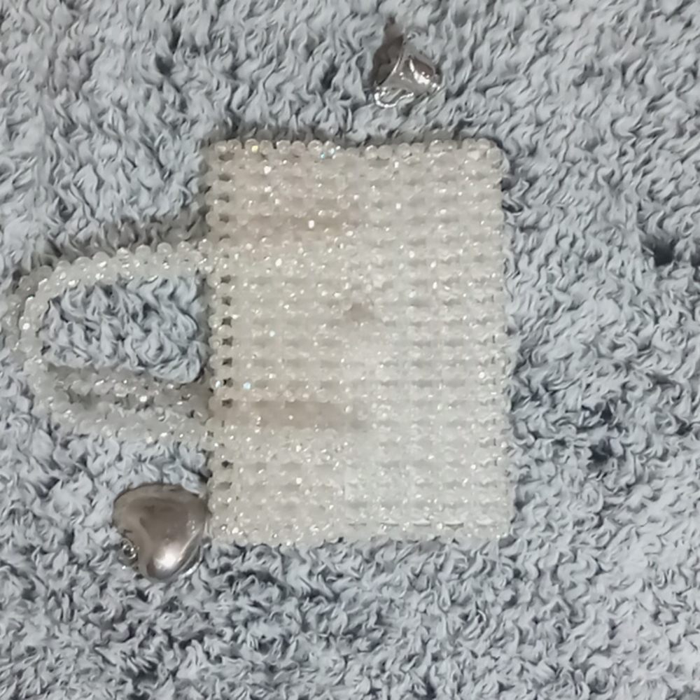La Regale Clear clutch